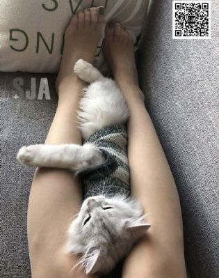 欧美注册商标_720在线视频播放