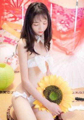 国产大型拖拉机最新款_高清免费观看视频